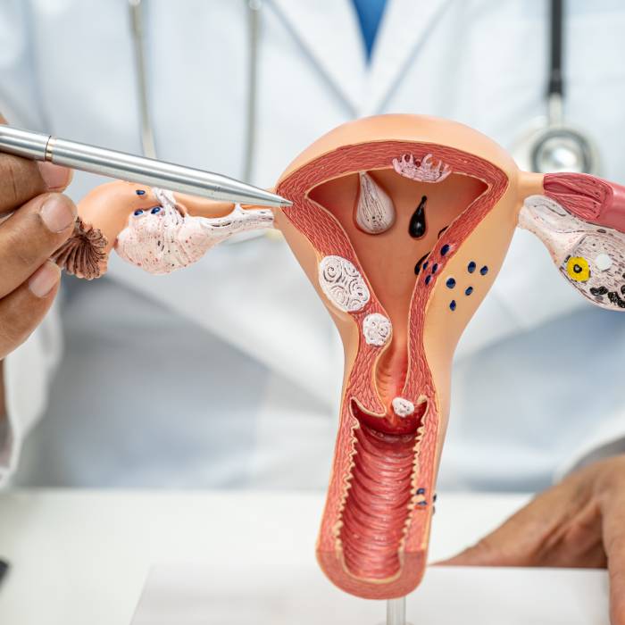 Consulta con Obstetra en CDMX