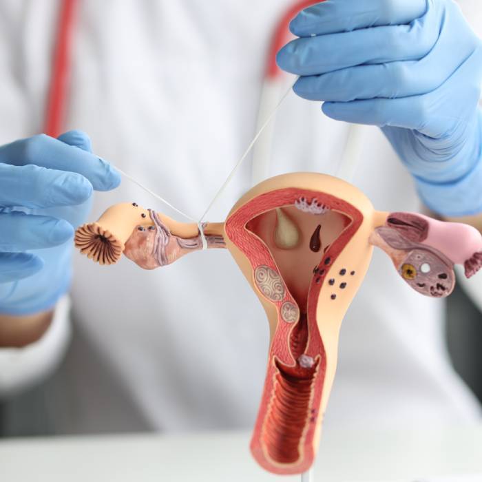 Mejores Médicos Ginecólogos en CDMX