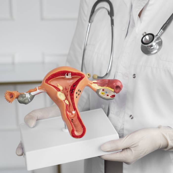 Precio de consulta de ginecólogo obstetra en Cuauhtémoc CDMX